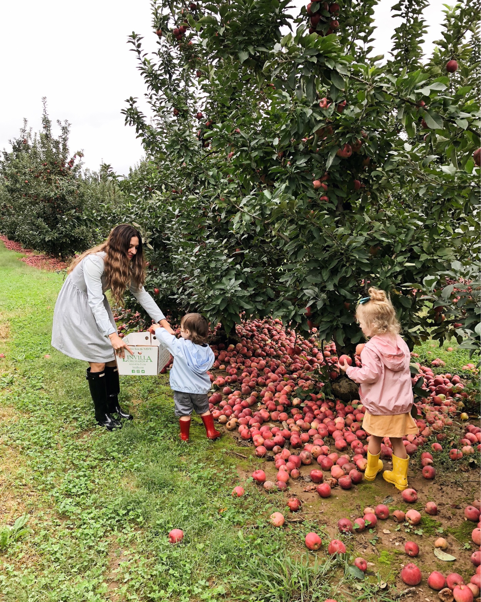 Apple Picking, Fall Bucket List, & Pips and Poppy